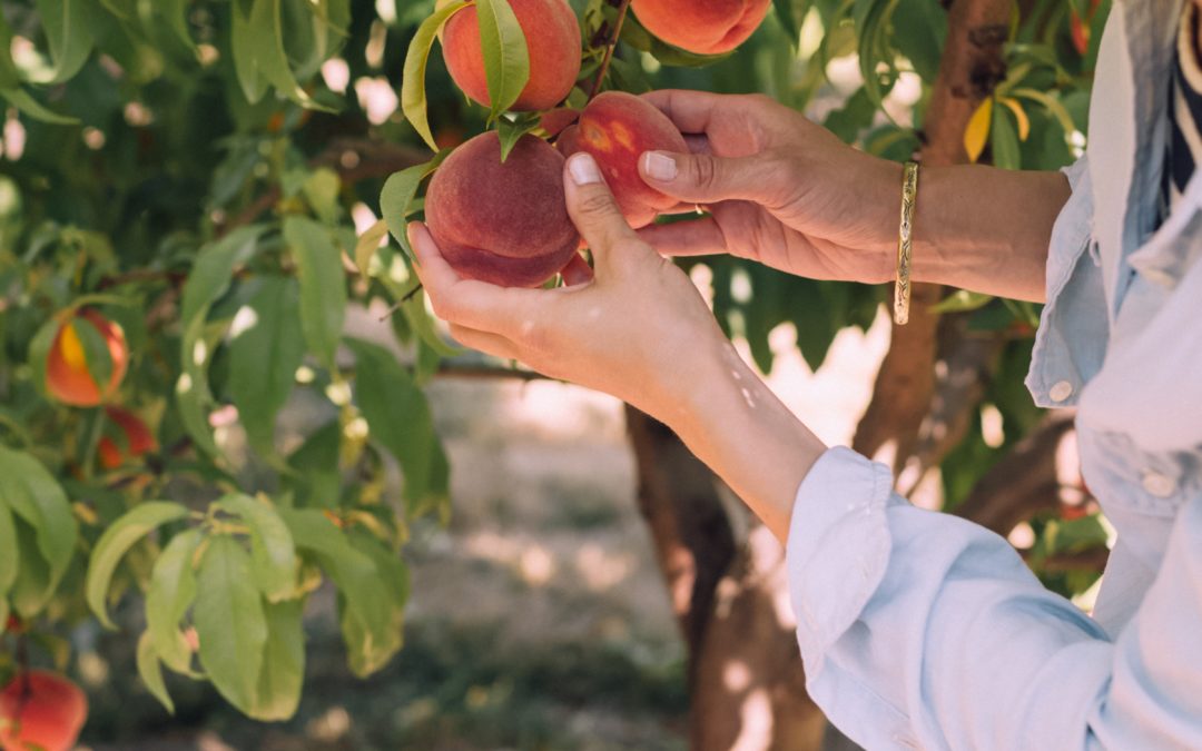 Woman in an Orchard