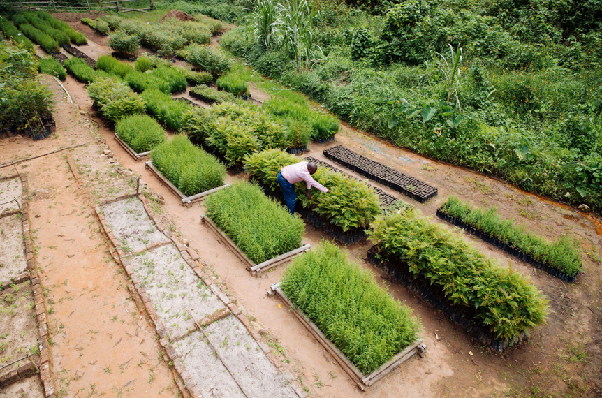 Landscape restoration in Makueni County, Kenya