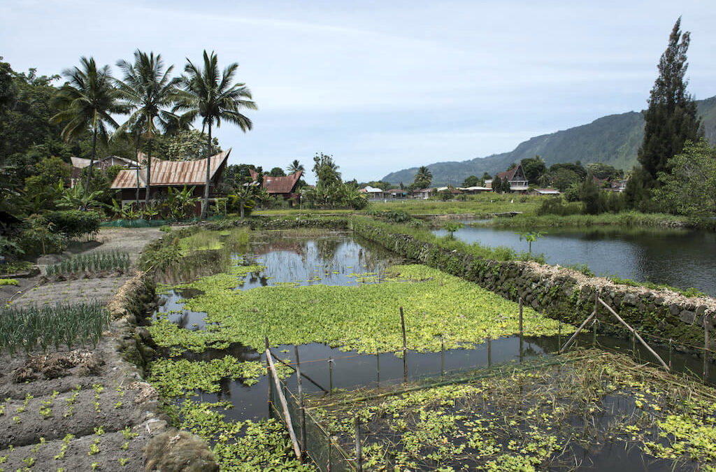 Sumatra Lagoons