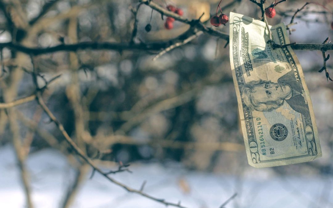 Money growing on tree