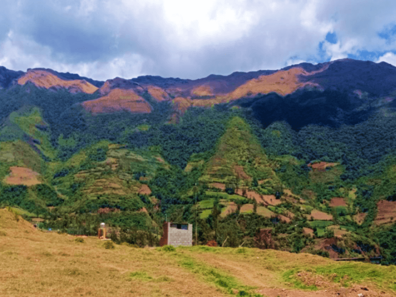 Abancay-Apurímac Model Forest, Peru