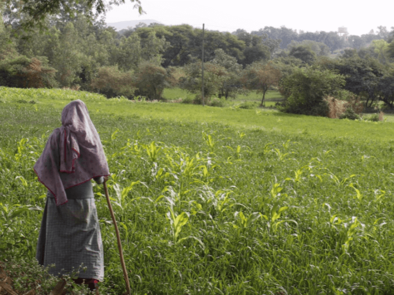 Madhya Pradesh, India