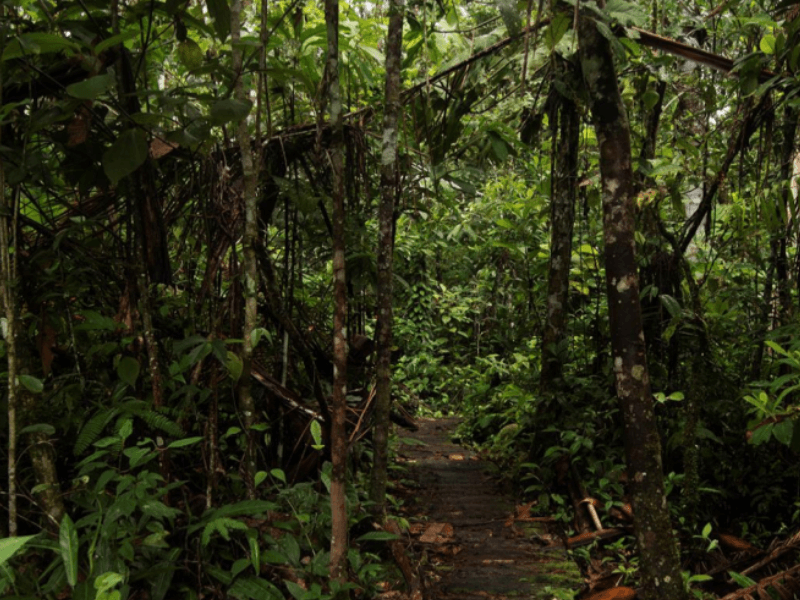 San Martin, Peru